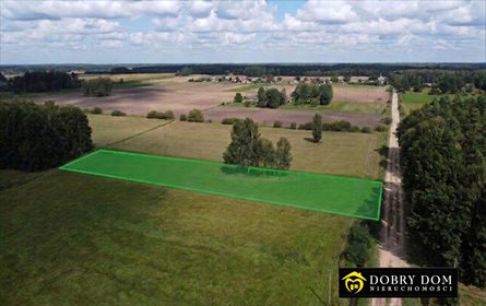 Polecam dużą działkę 9200 m² z warunkami zabudowy w Dobrzyniówce działka Dobrzyniówka