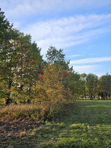 działka na sprzedaż 1000m2 działka Władysławów