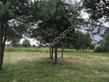 Działka inwestycyjna na sprzedaż Ciopan 16 200m2 Foto 2