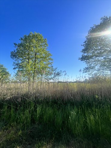 działka na sprzedaż 900m2 działka Radzymin, Leśna