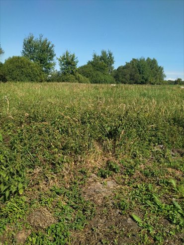 Na sprzedaż działka 1063 m² w Wołczkowie z mediami działka Wołczkowo