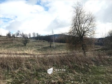 działka na sprzedaż 12700m2 działka Sierpnica, Zielone Wzgórze