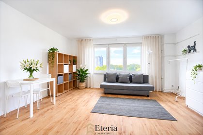 Kawalerka 26,4 m² z widokiem na Wola - świetna inwestycja! mieszkanie Warszawa, Wola, Nowolipki, Miła