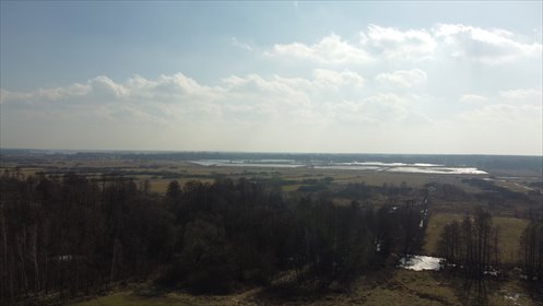 działka na sprzedaż 18400m2 działka Żminne