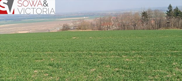 działka na sprzedaż 1200m2 działka Dobromierz