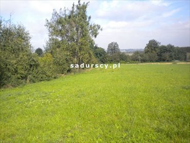 działka na sprzedaż 28520m2 działka Gołyszyn