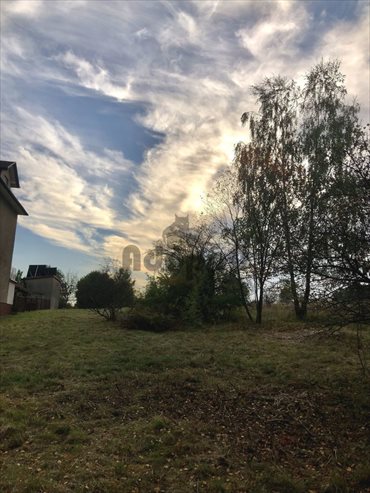 Działka budowlana na sprzedaż Jaworzno, Jeleń 4 316m2 Foto 4