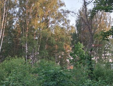 Działka 1625 m² z mediami, idealna pod dom marzeń działka Łazy