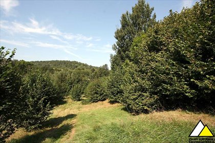 działka na sprzedaż 37700m2 działka Płóczki Górne, przy asfalcie