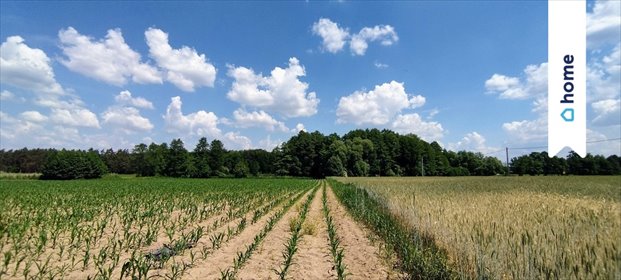 działka na sprzedaż 3003m2 działka Zarośle Cienkie