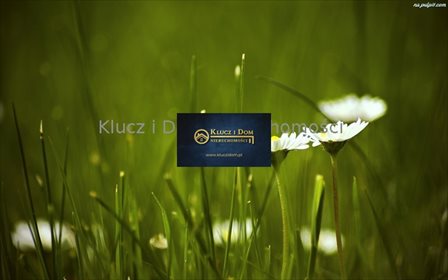 działka na wynajem 15000m2 działka Jawczyce