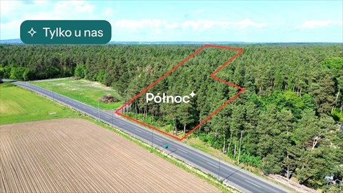 Zapraszam do zakupu działki 4027 m² pod zabudowę mieszkaniową działka Kędzierzyn-Koźle, Kłodnica