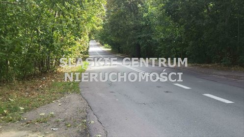 Działka budowlana na sprzedaż Zabrze, Biskupice, Kasprowicza 32 420m2 Foto 3