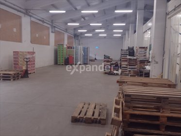 lokal użytkowy na wynajem 450m2 lokal użytkowy Głogów Małopolski, św. Maksymiliana Kolbego