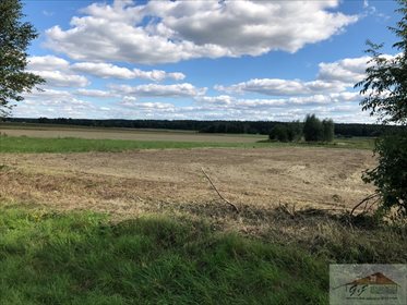 Działka rolna na sprzedaż Kowalówka 2 800m2 Foto 1