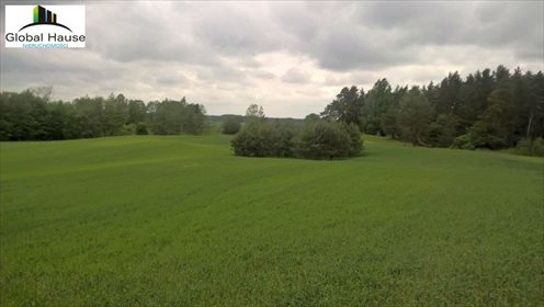 Działka rolna na sprzedaż Nowe Krzywe 3 080m2 Foto 2