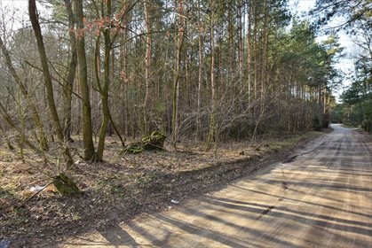 Działka leśna z prawem budowy na sprzedaż Nowy Świat 2 770m2 Foto 3