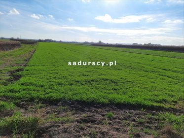 działka na sprzedaż 6602m2 działka Kraków, Podstawie