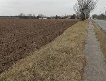 działka na sprzedaż 9000m2 działka Poznań, Grunwald, Junikowo, Wołczyńska