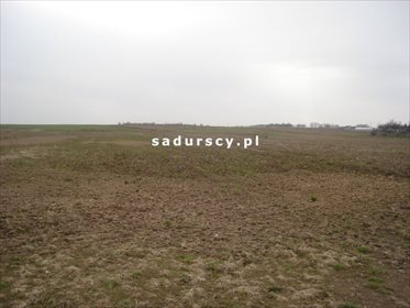 Działka inwestycyjna na sprzedaż Morawica 10 000m2 Foto 1