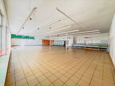 Przestronny pawilon handlowo-usługowy 650 m² (Czudec) lokal użytkowy Czudec