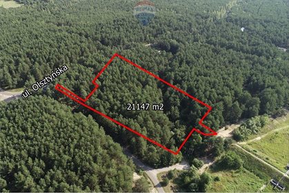 działka na sprzedaż 20034m2 działka Zaborze, Olsztyńska