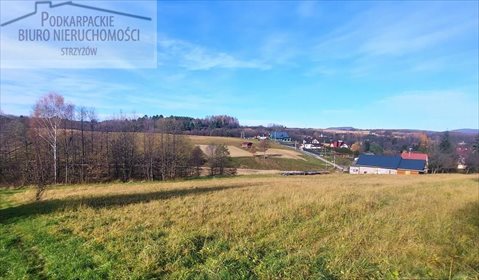 działka na sprzedaż 3148m2 działka Płowce