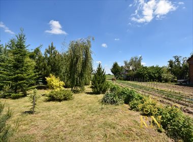 Działka siedliskowa na sprzedaż Kolonia Bystrzyca 1 300m2 Foto 5