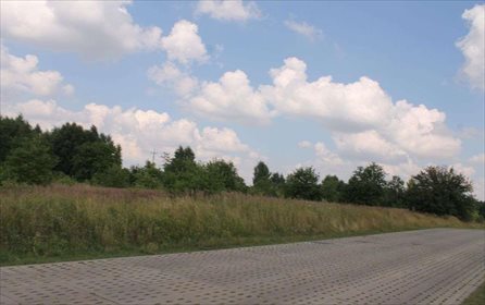 Działka rolna na sprzedaż Łódź, Widzew, Stare Moskule, Opolska 14 997m2 Foto 4