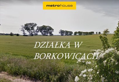działka na sprzedaż 734m2 działka Borkowice
