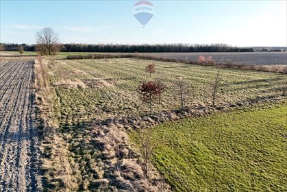 działka na sprzedaż 11406m2 działka Korabiewice