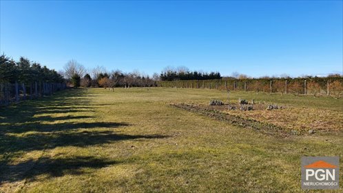 Działka 475 m² - blisko Płotów - asfalt - media w drodze działka PŁOTY OKOLICA