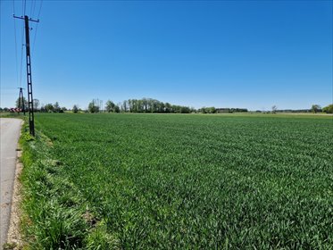 działka na sprzedaż 1440m2 działka Władysławów Popowski