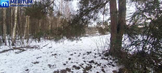 Polecam działkę 2000 m² pod dom w lesie, szybki dojazd do Warszawy działka Musuły