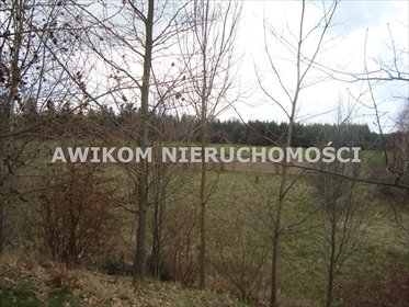Polecam działkę rolną 10 400 m² blisko Tarczyna działka Many