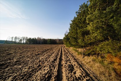 działka na sprzedaż 801m2 działka Słupsk, Nowe działki przy lesie 12 min od centrum Słupska