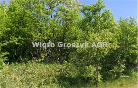 działka na sprzedaż 29200m2 działka Bibiampol