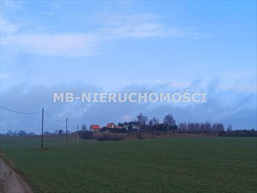 Polecam działkę 4200 m² z mediami, Królikowo działka Królikowo