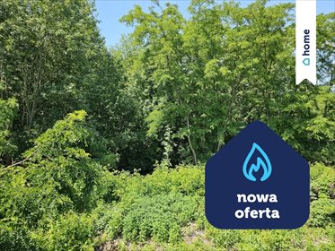 działka na sprzedaż 18400m2 działka Miałkie