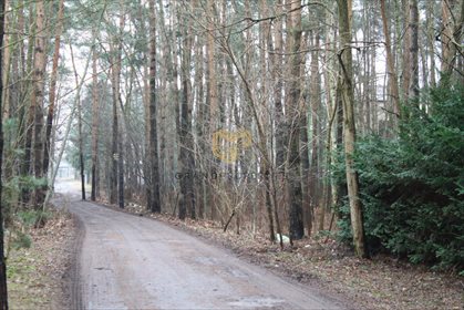 Działka budowlana na sprzedaż Konstancin-Jeziorna, Cegielnia-Chylice 7 800m2 Foto 2