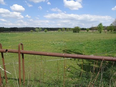 Na sprzedaż działka 900 m² z warunkami zabudowy w Brzezinkach działka Jelcz-Laskowice