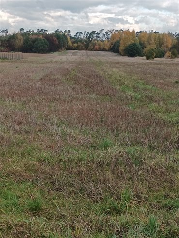 działka na sprzedaż 26000m2 działka Opatówek