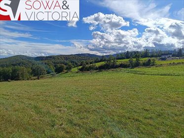 Działka 3000 m² z warunkami zabudowy i widokami działka Michałkowa