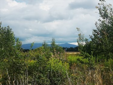 działka na sprzedaż 1556m2 działka Kromnów