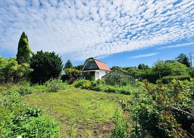 Działka z domkiem i szklarnią 582 m² w Białymstoku zapraszam działka Białystok, Wygoda