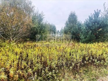 działka na sprzedaż 1378m2 działka Barcice Drwalewskie