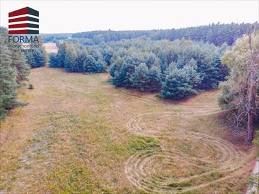 Działka budowlana na sprzedaż Zajączkowo, Zajączkowo 70 600m2 Foto 6