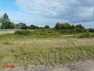 działka na sprzedaż 4500m2 działka Blinno