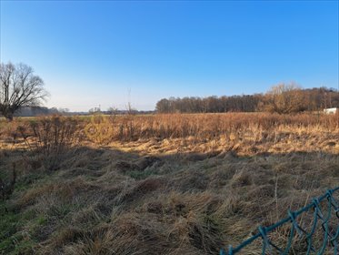 Działka budowlana 831 m² w Bełchatowie – szybki start! działka Bełchatów