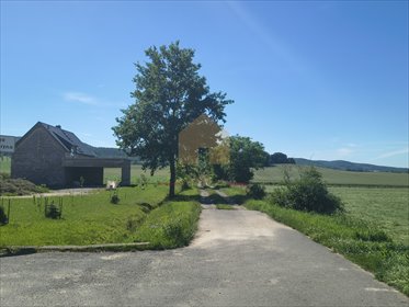 Na sprzedaż działka 16 255 m² z lasem i potencjałem inwestycyjnym działka Świdnica